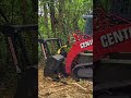 Check out the power of this Denis Cimaf mulcher, turning trees into woodchips with ease.