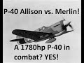 P-40 Warhawk Allison vs. Merlin