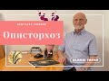 Описторхоз | Как избавится? | Global Trend