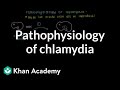 Understanding Chlamydia Pathophysiology