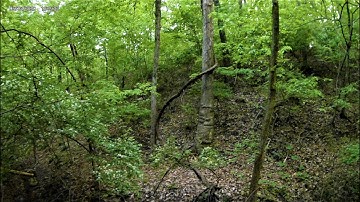 15) Cedar Log Bridge Forest Trail - One Last Look at Future Bridge and King Kong Vine, Part 5 Carry