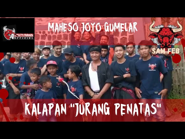 kalapan jurang penatas MAHESO JOYO GUMELAR |by @arekpajaranofficial class=