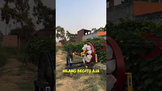 Springs And Flywheels Mystery Or Physics  Exploring The Viral Perpetual Motion Machine 