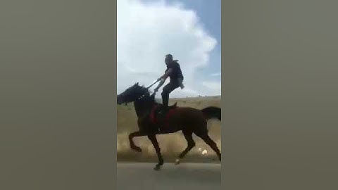 Αραβανι αλογο  Σιάτιστα