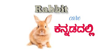 Rabbit care in Kannada .for more information plz see below description.