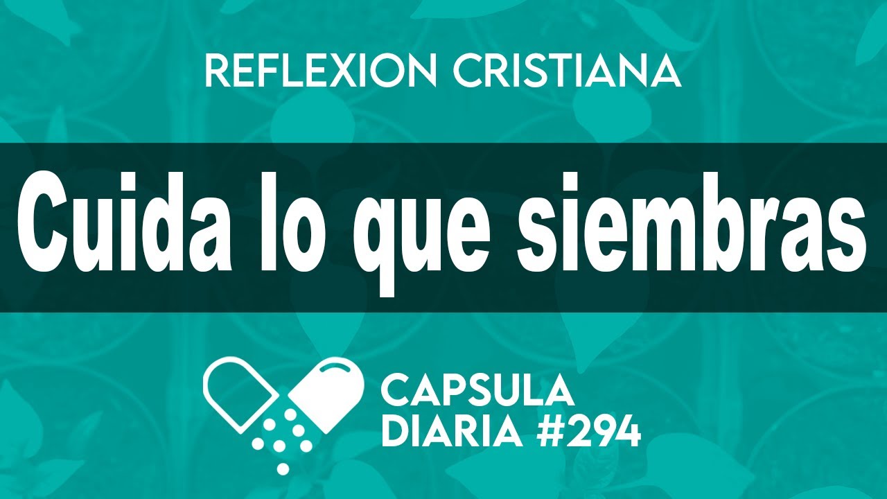 La Cápsula de Hoy - CUIDA LO QUE SIEMBRAS - Reflexión - La dosis diaria de hoy