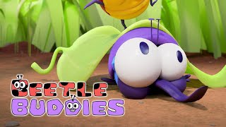 Hide n' seek, boogers, and more! | BEETLE BUDDIES Compilation | Cartoons for Kids