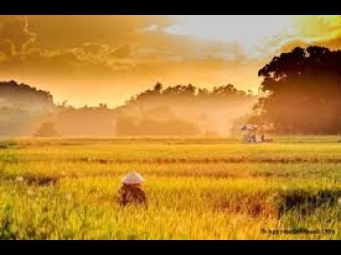 Obejrzyj [Hát Chèo Quê Hương 2018] Bài Ca Về Đất Mê Linh (Lời: Trần Quang Đẩu) - NSƯT Minh Phương w YouTube