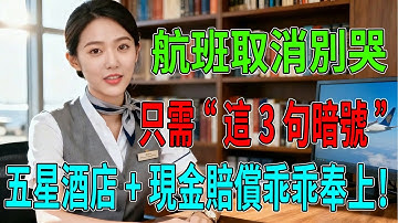 航空公司最怕你懂這個！航班取消別哭，只需對地勤說出“這3句暗號”，五星酒店+現金賠償乖乖奉上！#護照過期 #護照有效期 #機場拒載 #出國旅遊攻略 #護照六個月規則 #落地簽
