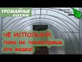 Не используйте ЭТО в теплице, пока не посмотрите это видео!