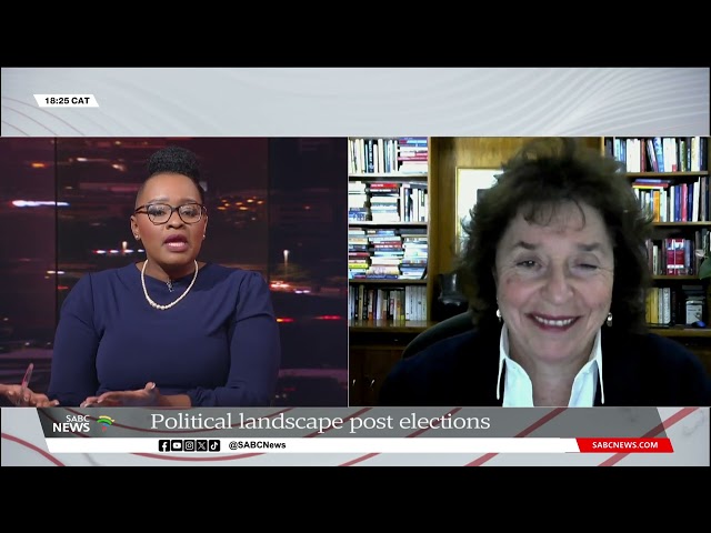 2024 Elections | Political landscape post elections | Ann Bernstein weighs in class=