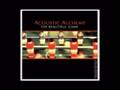 Acoustic Alchemy - Angel Of The South