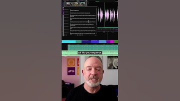 How to use the AI-powered Transcript Tool and add subtitles
