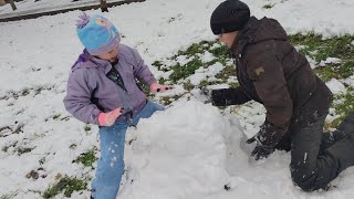❄️ Синички радуются снегу в Южноукраинске ❄️ 13 декабря 2022 ❄️