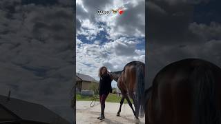 Больше нас в тгк: sozuzg.eque 🐎❤️