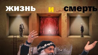 Жизнь и смерть