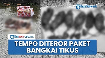 Setelah Kepala Babi, Kantor Tempo Dapat Kiriman Bangkai Tikus yang Dipenggal