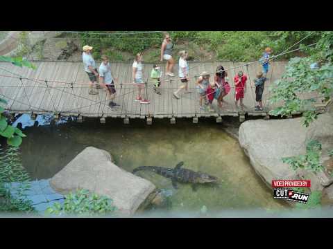 Vídeo: Visitando o zoológico de Pittsburgh e o aquário PPG