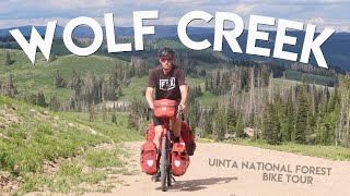 Biking The Wolf Creek Ridgeline - Utah National Forest Bike Tour