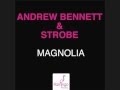 Andrew bennett  strobe  magnolia original mix