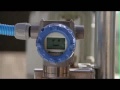 Video Image