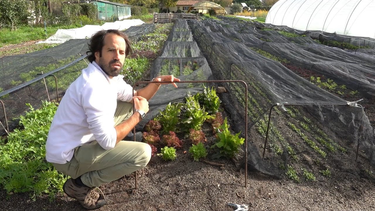 CULTIVOS PROTEGIDOS con MALLAS FLOTANTES