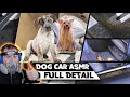 Dog car full detail  asmr  fulldetail deepclean autodetailing interiordetailing
