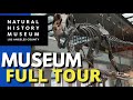 Los angeles natural history museum  everything in 8 minutes