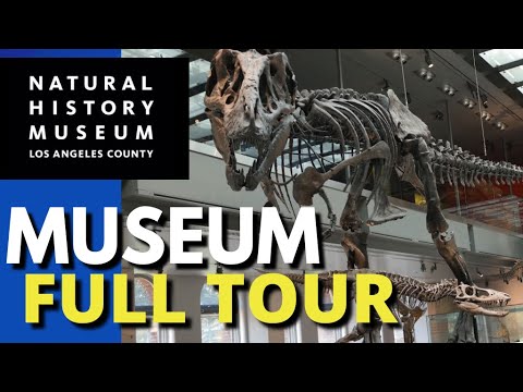 Video: Natural History Museum of Los Angeles County