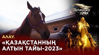 Алау. «Қазақстанның алтын тайы-2023». «Дүлдүлдер дүбірі». Бәйге.