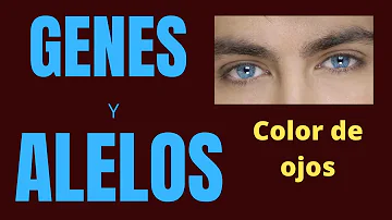 ¿De qué progenitor procede el gen del ojo?