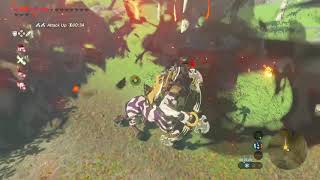 So this happened in BOTW and now I hunt lynels