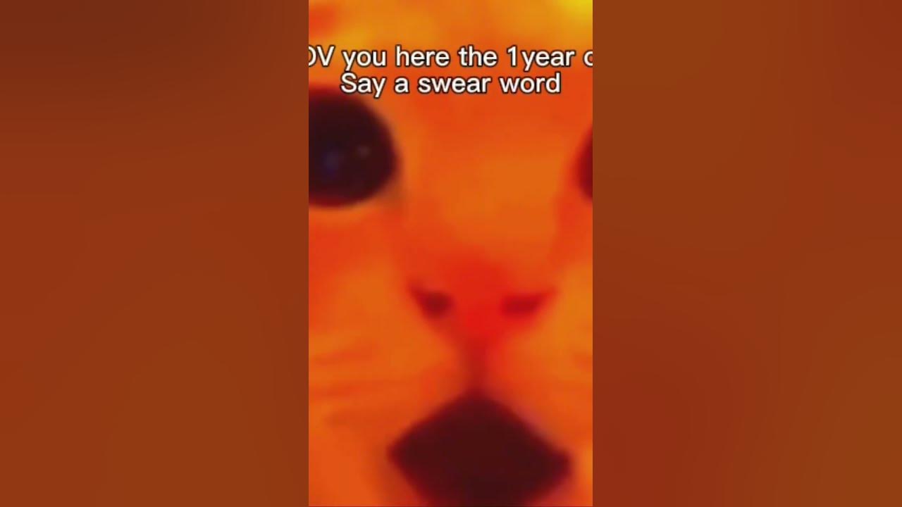 pov-you-hear-the-one-year-old-say-a-swear-word-capcut-youtube
