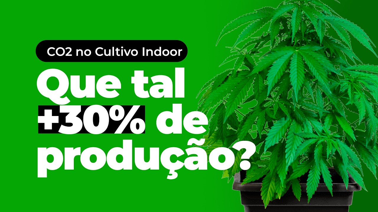 Suplementação de CO2 no Grow Indoor: PPFD, Temperatura e Setup Ideal