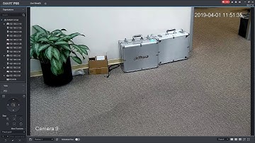 How To Use PTZ Preset In SmartPSS