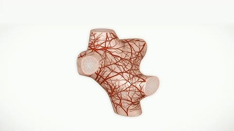 Blood vessel ingrowth into the biomaterial scaffold