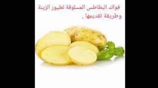 فوائد البطاطس المسلوقة لطيور الزينة