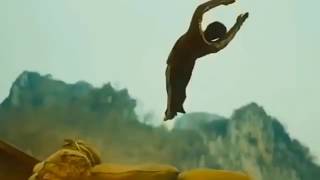 Another acrobatic action born to fight