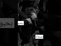 إيهاب توفيق بحبه