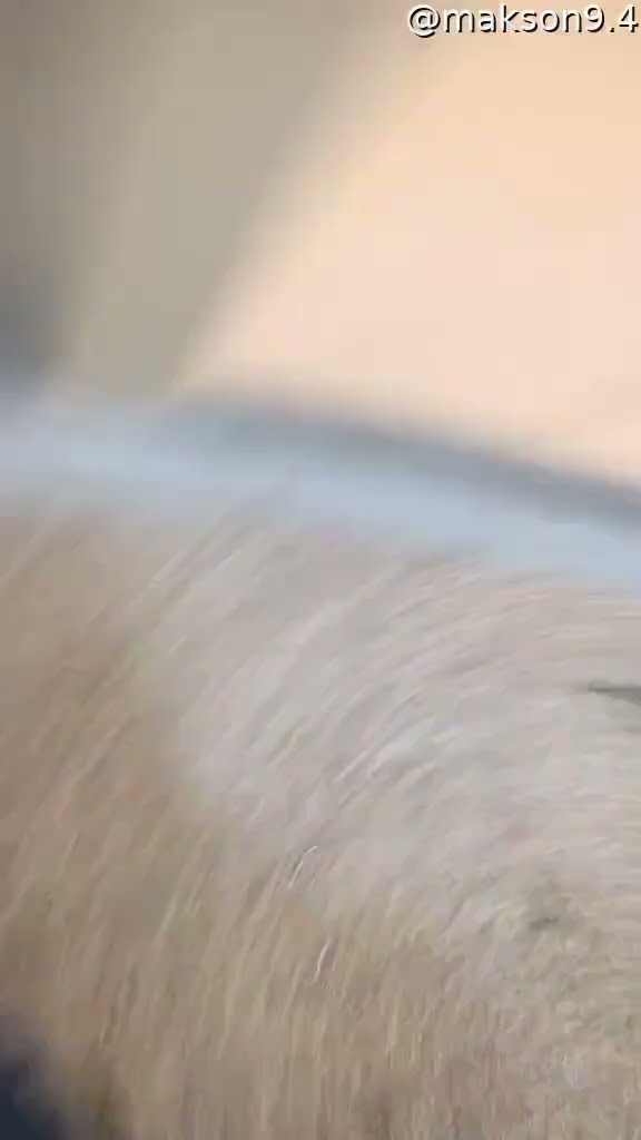 Orange Drink Floods Mouse Hiding In Radiator || ViralHog