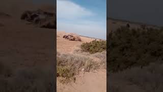 3 fecha Rally Adrian Anguita jocoli Mendoza (2)