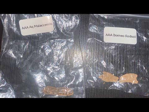 اطواق طاقة تغير لكي حياتك بإذن الله و عطر فيرموني صنع من مواد نادرة موجود فقط عندي