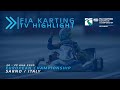 FIA Karting European Championship Junior/OK Round 2 Sarno Italy Highlight