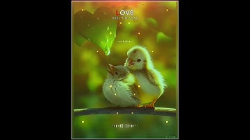 Avee player template download link 2020 || avee player square size template download link