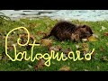 questa è la mia PORTOGRUARO - La Storia nei dintorni