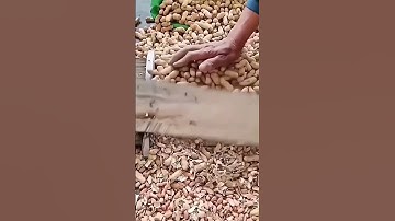 Peanut shell breaking tool- Good tools and machinery can increase work efficiency