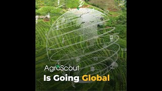 Global AgroScout