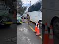 Rescatan a gatito tras operativo por desaparecidos en Cajón del Maipo