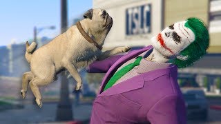 Playing As ANIMALS ONLINE! | GTA 5 THUG LIFE #272 Playing As ANIMALS ONLINE! | GTA 5 THUG LIFE #272