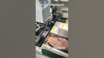 Automatic double head wire stripping machine #harness Equipment #automation equipment